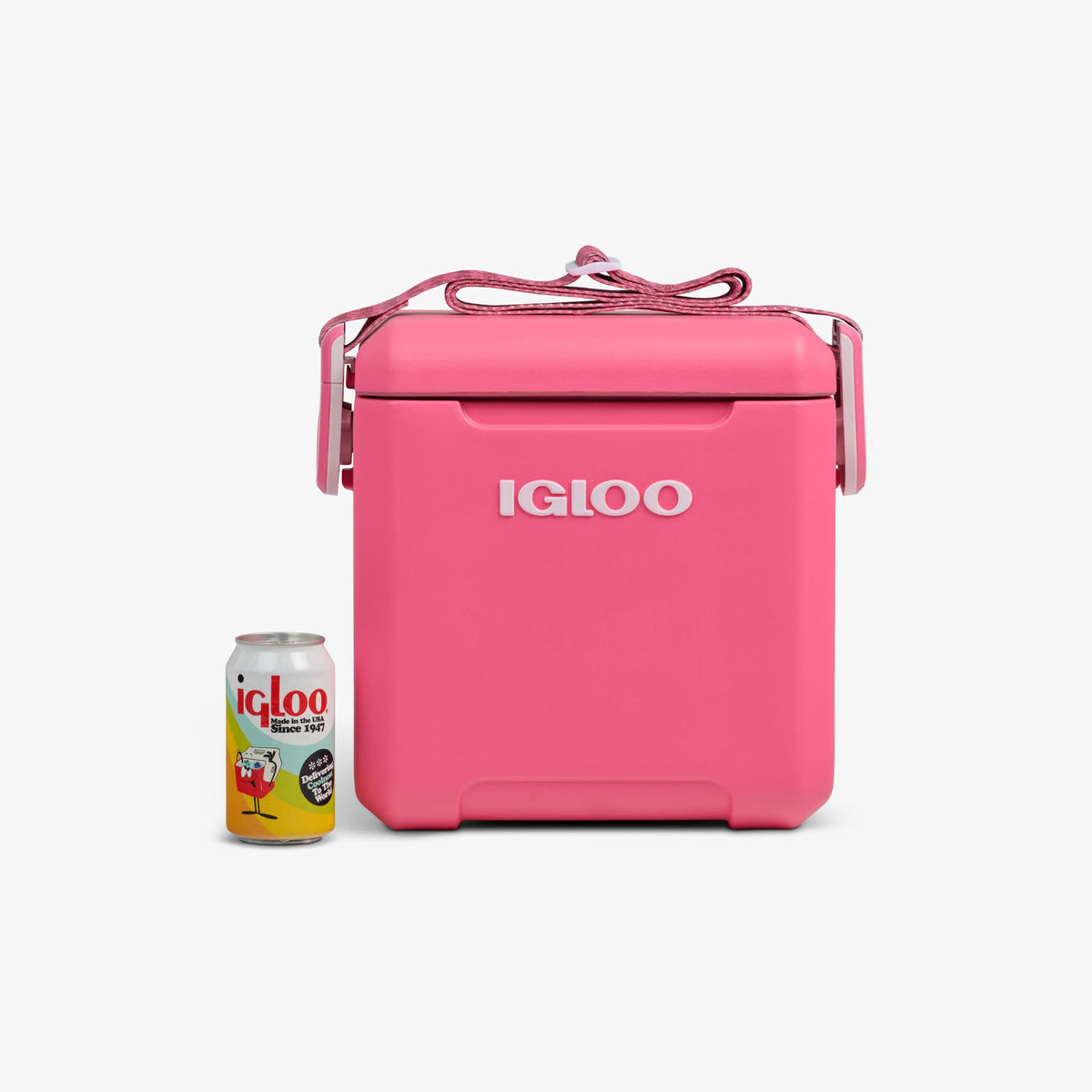 tag-along-too-remix-cooler-n9 00033199-P_861a5cd2-f15c-4217-a471-e33cc3890d9e.jpg
