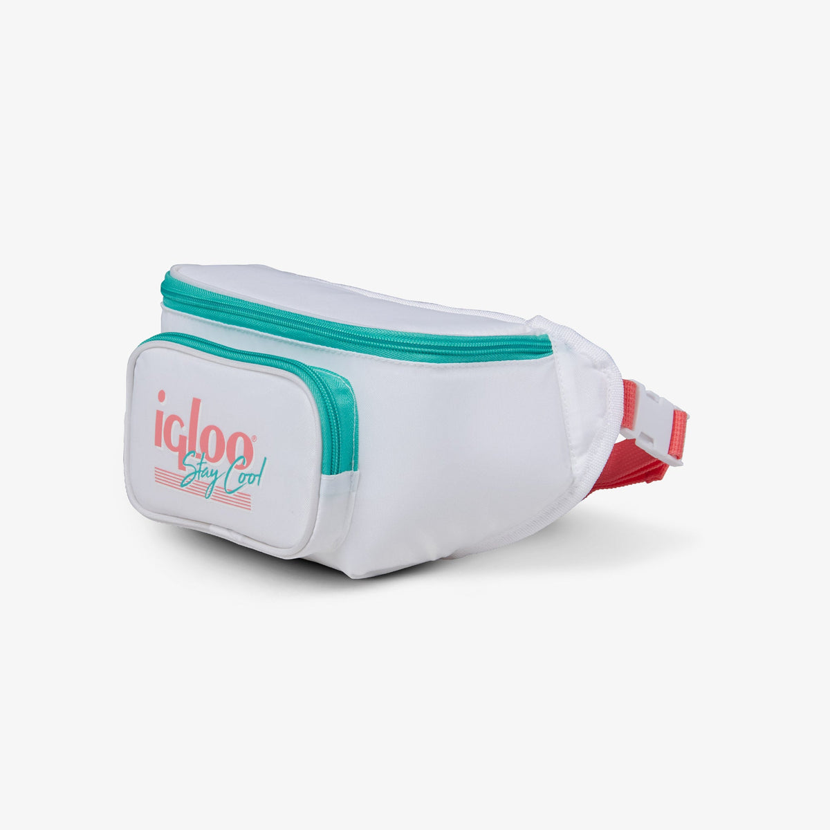 retro-fanny-pack-d5 00060951_2.jpg