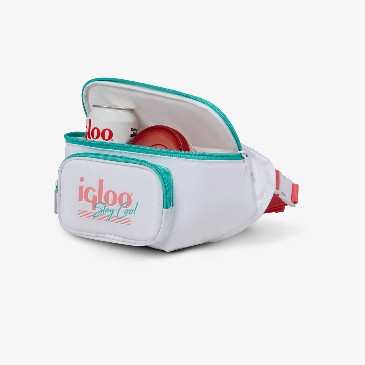 retro-fanny-pack-d5 00060951_3.jpg