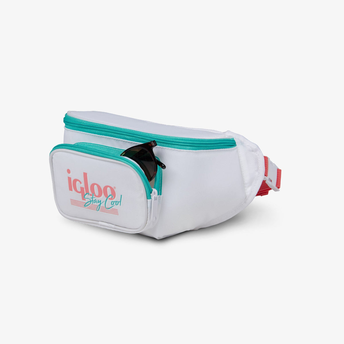 retro-fanny-pack-d5 00060951_4.jpg