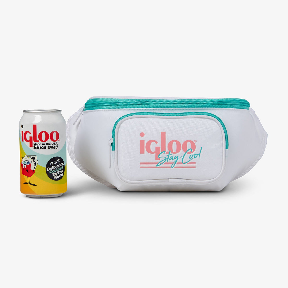 retro-fanny-pack-d5 00060951_5.jpg