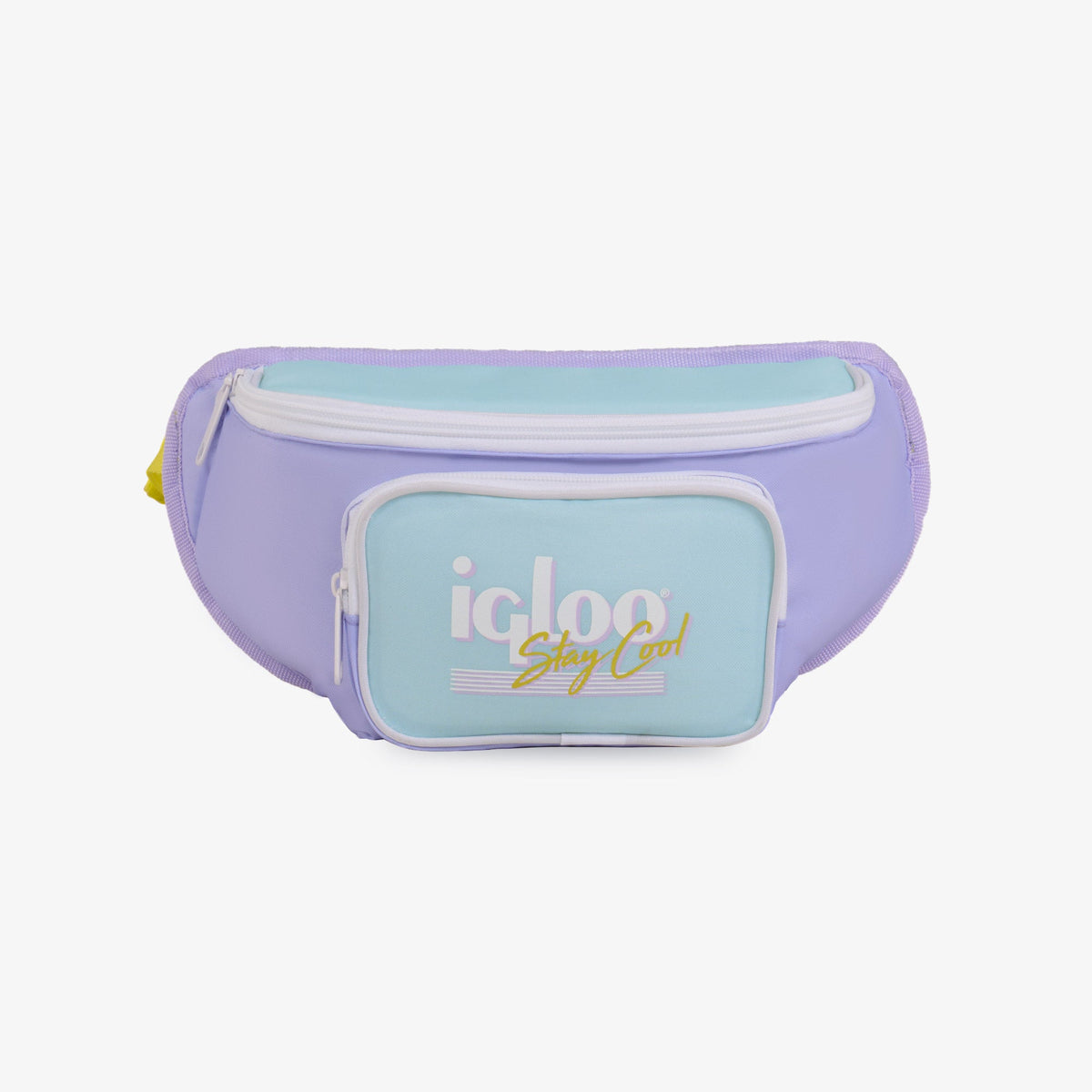 retro-fanny-pack-d5 00063078-F.jpg