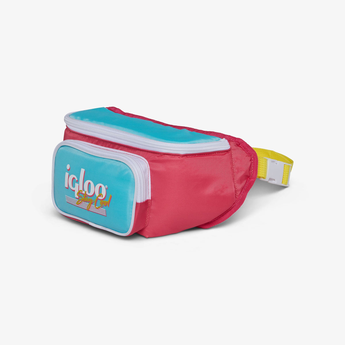 retro-fanny-pack-d5 00066058-H1.jpg