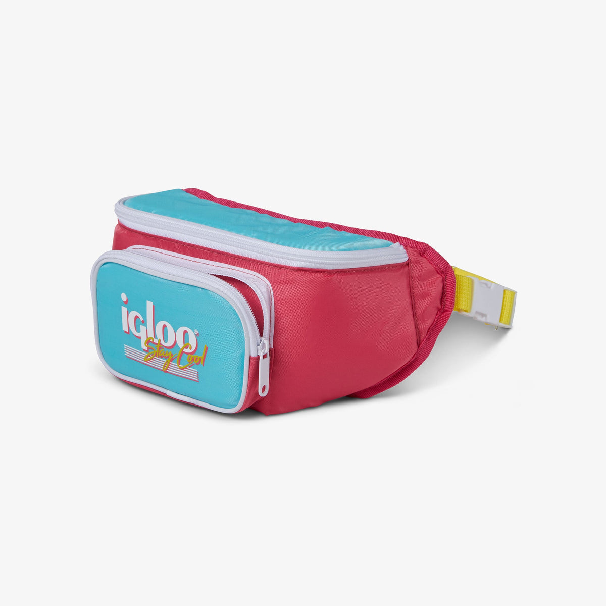 retro-fanny-pack-d5 00066058-O.jpg