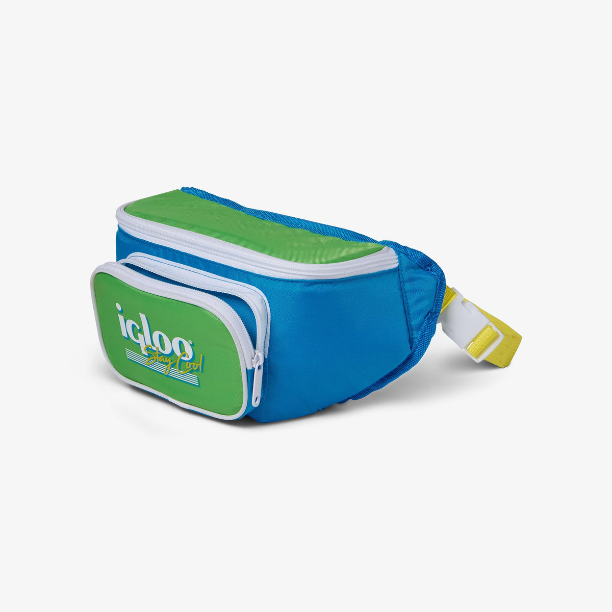retro-fanny-pack-d5 00066059-O1.jpg