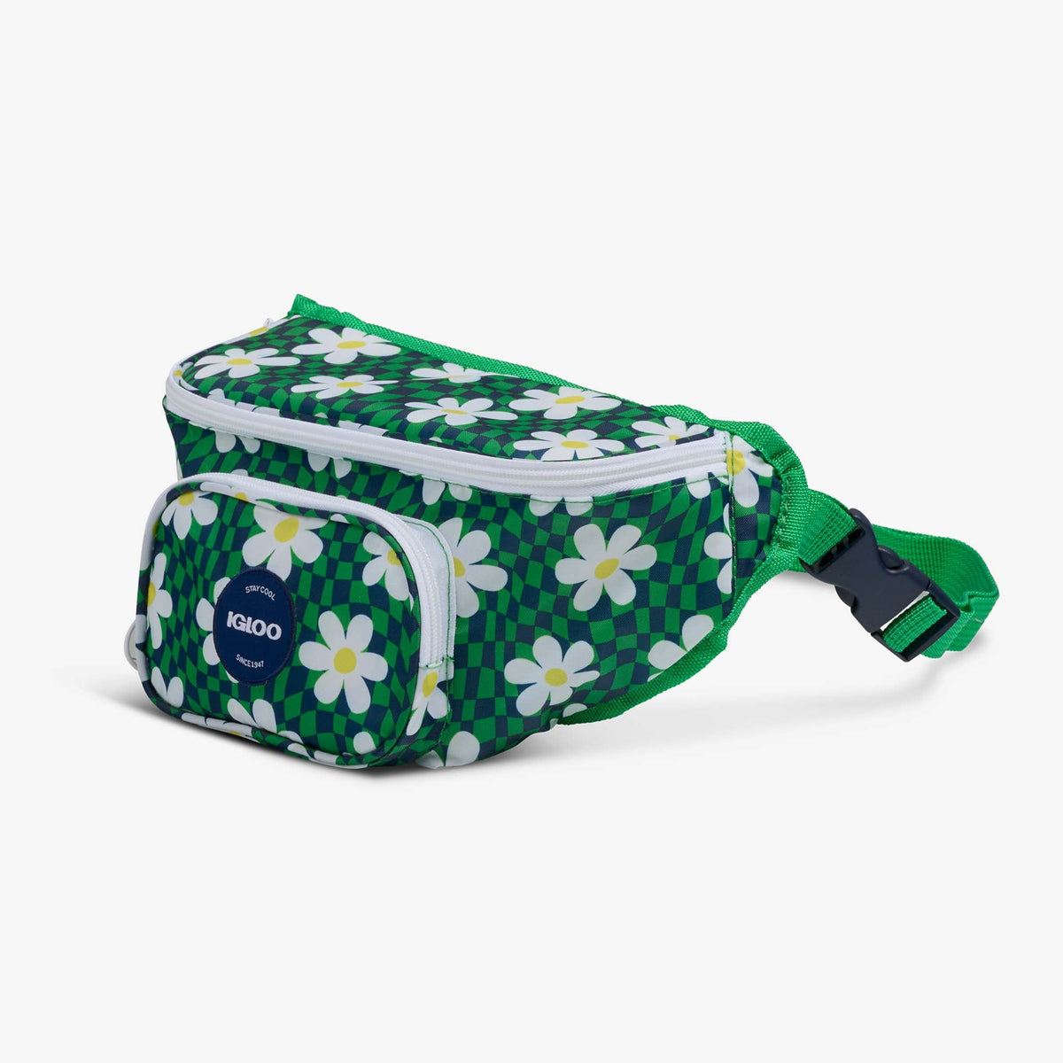 retro-fanny-pack-d5 00067206-H1.jpg