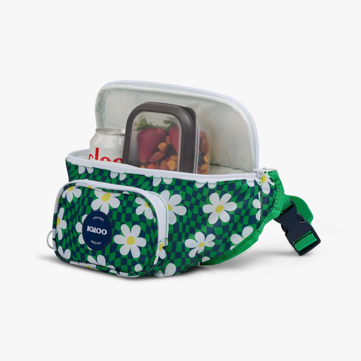retro-fanny-pack-d5 00067206-P1.jpg